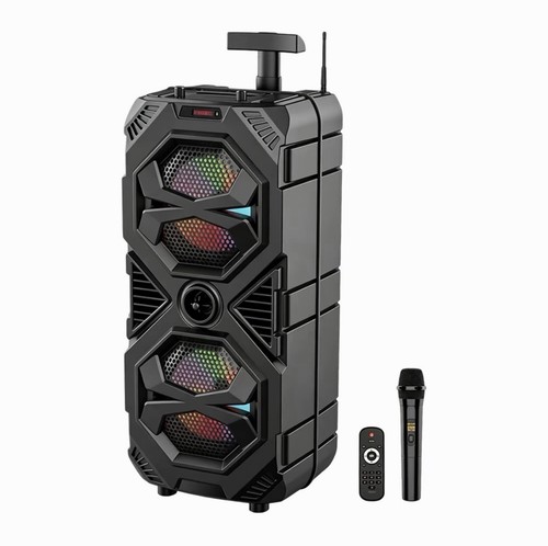Cassa karaoke bluetooth 30w - cassa,
