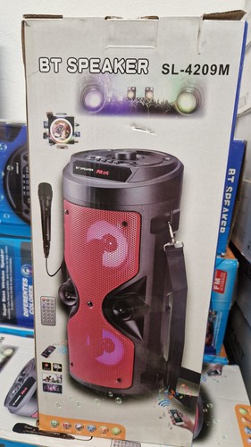 Cassa karaoke speaker con
