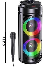 Cassa acustica ricaricabile