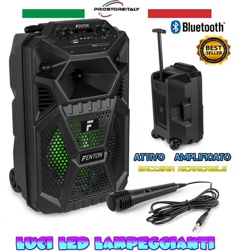 Cassa amplificata 100w - cassa,