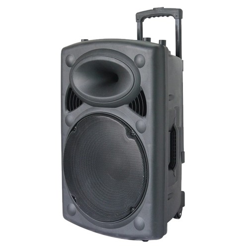 Cassa acustica amplificata