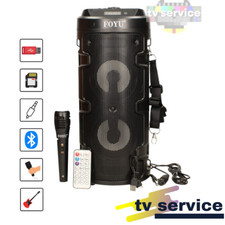 Cassa Amplificata USB SD